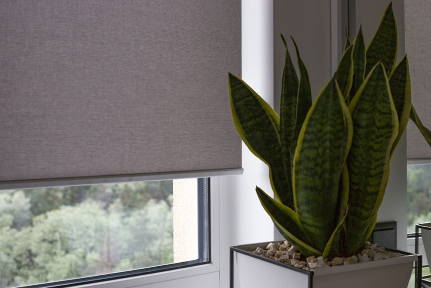 5 Benefits Of Roller Blinds