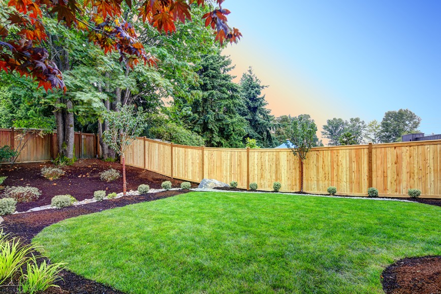 large garden with clear boudary fence